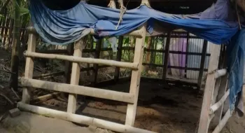 চিতলমারীতে রাতের আঁধারে ৪টি গরু চুরি, আতঙ্কে এলাকাবাসী 